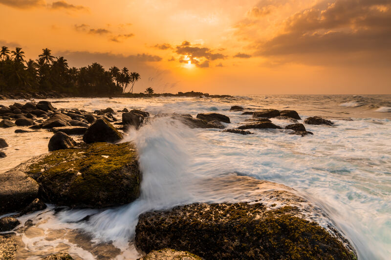 Palmen über karibisch-türkisem Wasser