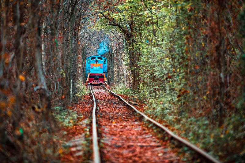 Eisenbahn-Tunnel umgeben von tropischer Vegetation