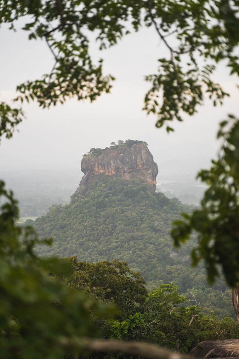 Sigiriya-Felsen im morgendlichen Nebel